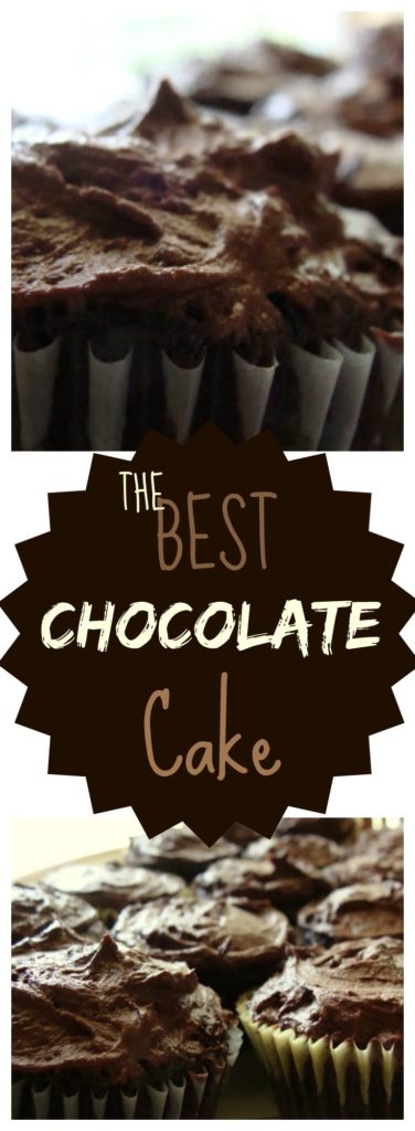 THE Best Chocolate Cake Recipe on www.sugarbananas.com