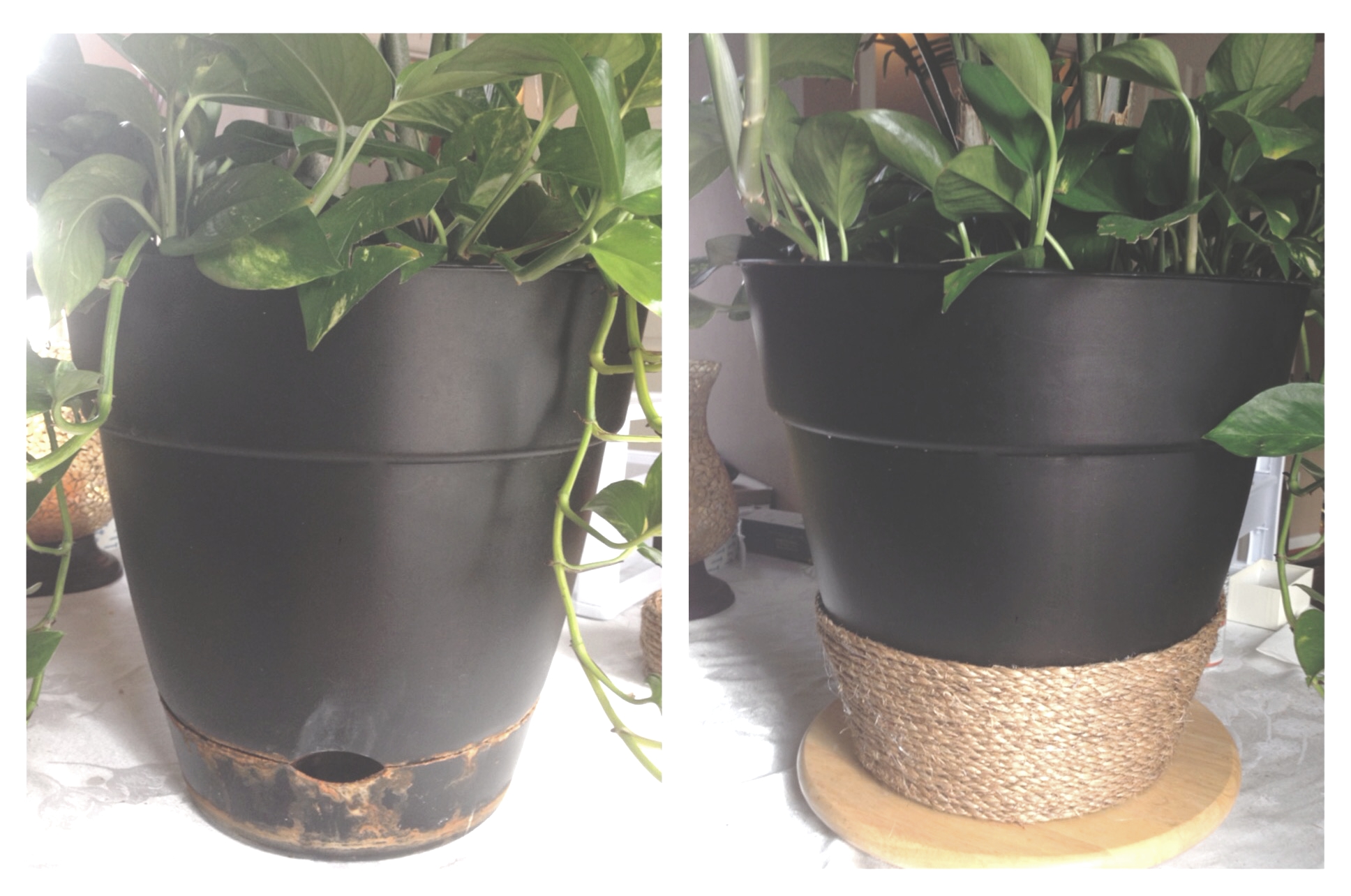 Cheap and Easy Indoor Houseplant Pot Makeover Rope 
