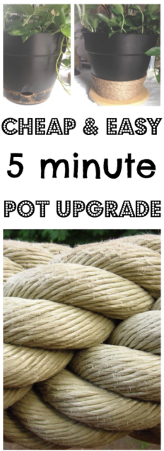 cheap and easy five minute pot upgrade