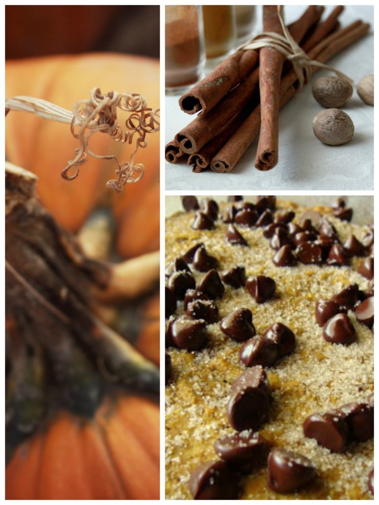pumpkin collage cinnamon coconut chocolate chip muffins on www.sugarbananas.com