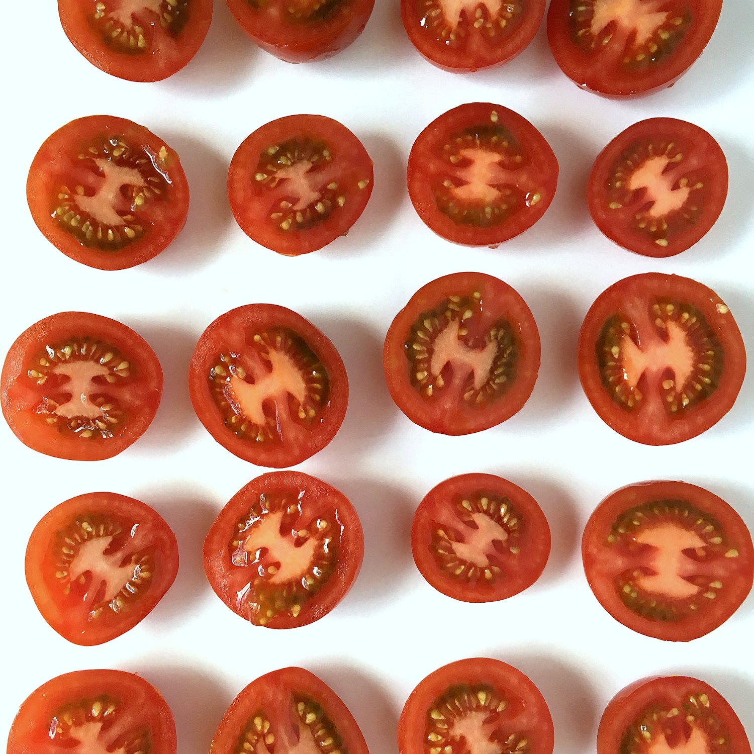 Campari tomato halves flat lay panko parmesan tomaotes