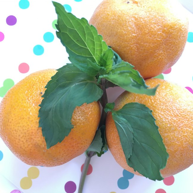 Orange Peppermint Lemonade on www.sugarbananas.com