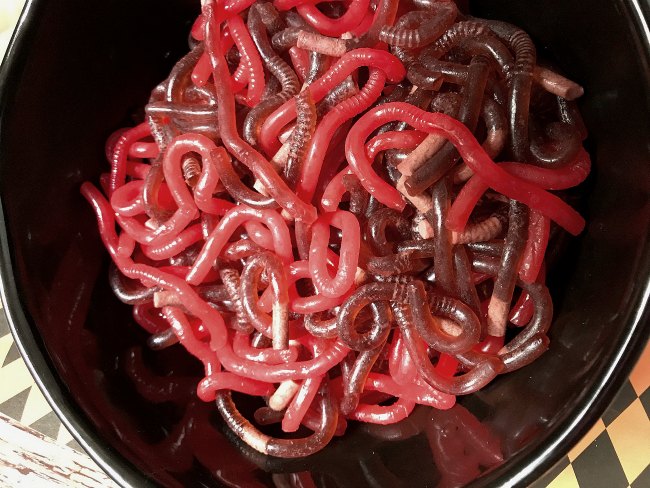 Jello Worms in bowl Halloween Party Food Ideas from sugar bananas