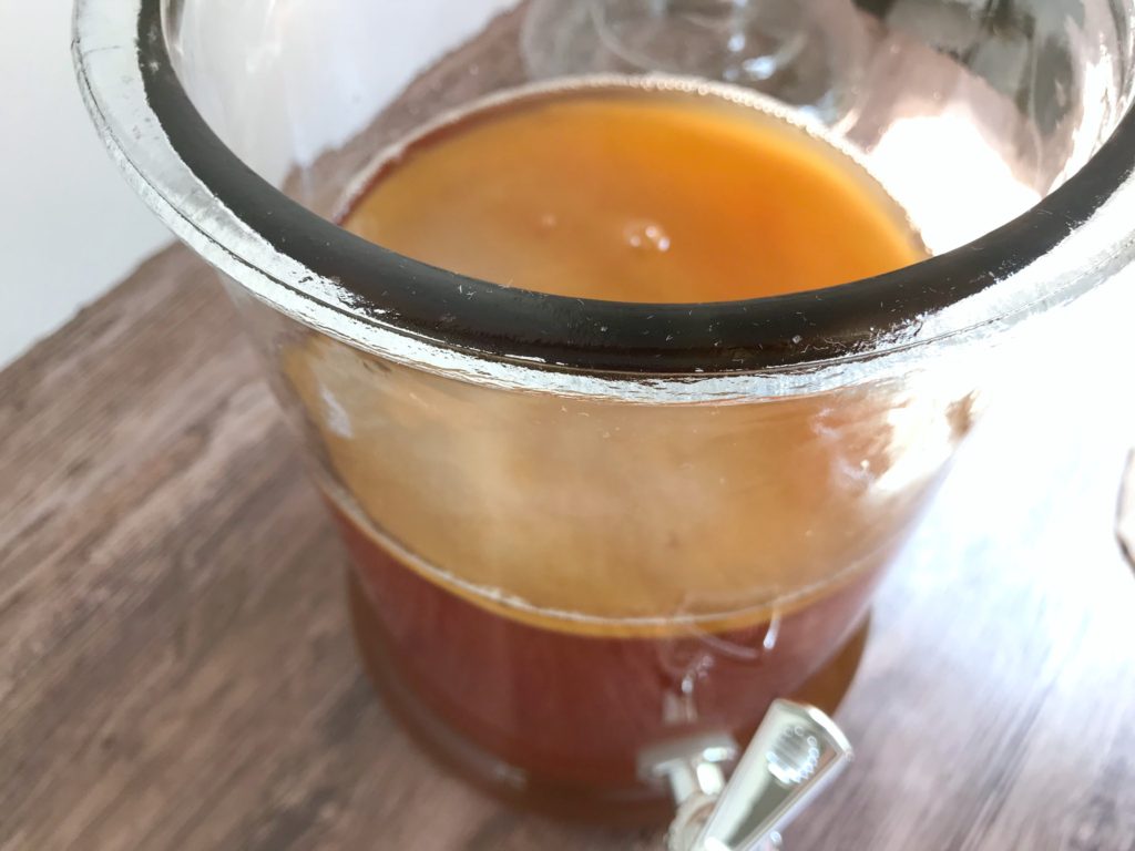 how to brew kombucha sugarbananas adult scoby